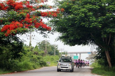 ปั่นให้แข็งแรง (Bike Together Stronger Suratthani) Image 1