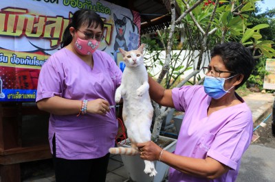 บริการฉีดวัคซีนป้องกันโรคพิษสุนัขบ้า ชุมชนราษฎร์บำรุง ชุมชนร ... Image 1