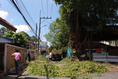 ตัดแต่งต้นไม้สามแยก หลังตลาดแม่ครู รูปภาพ 1